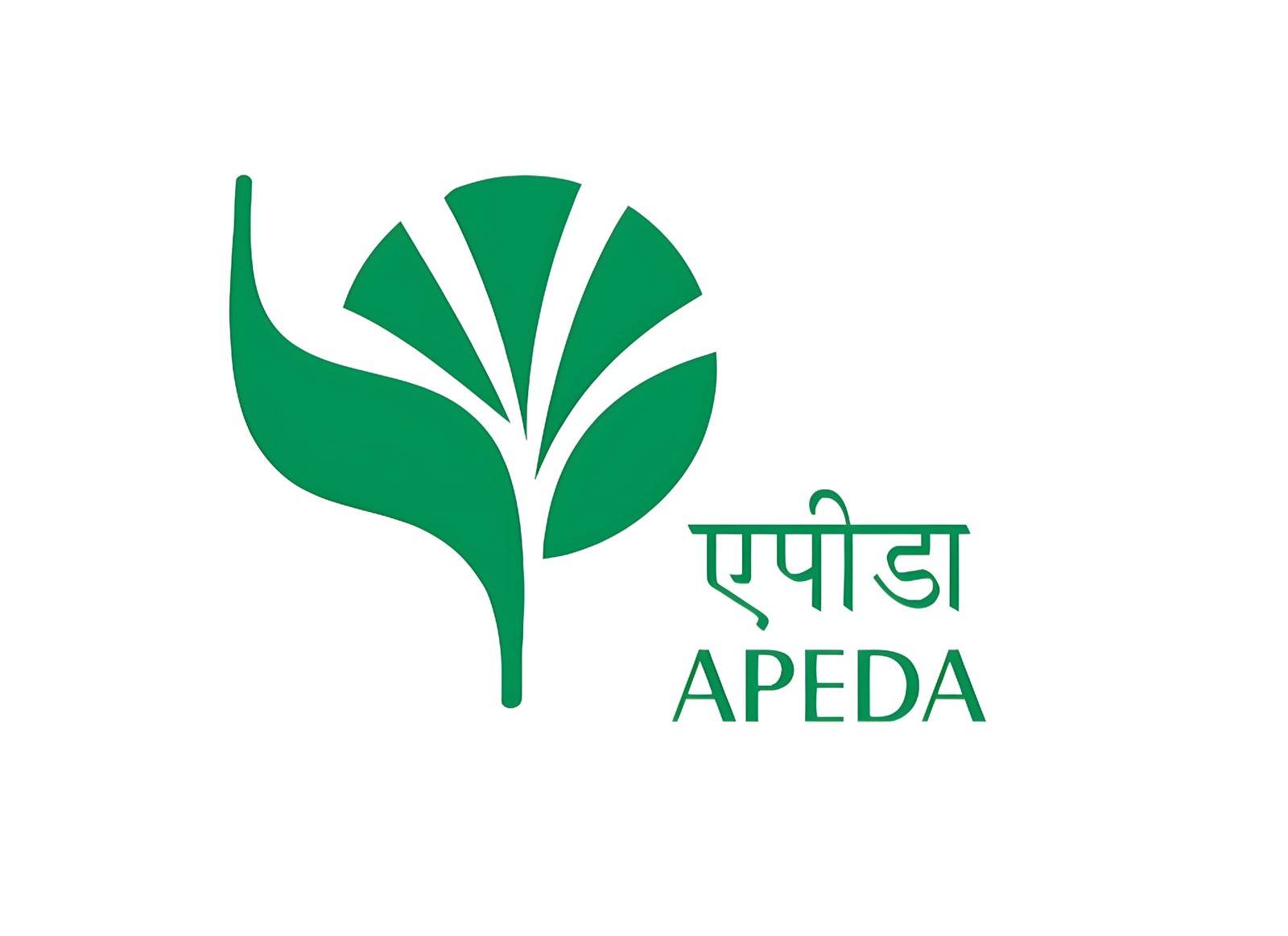 APEDA agricultural export registration certificate