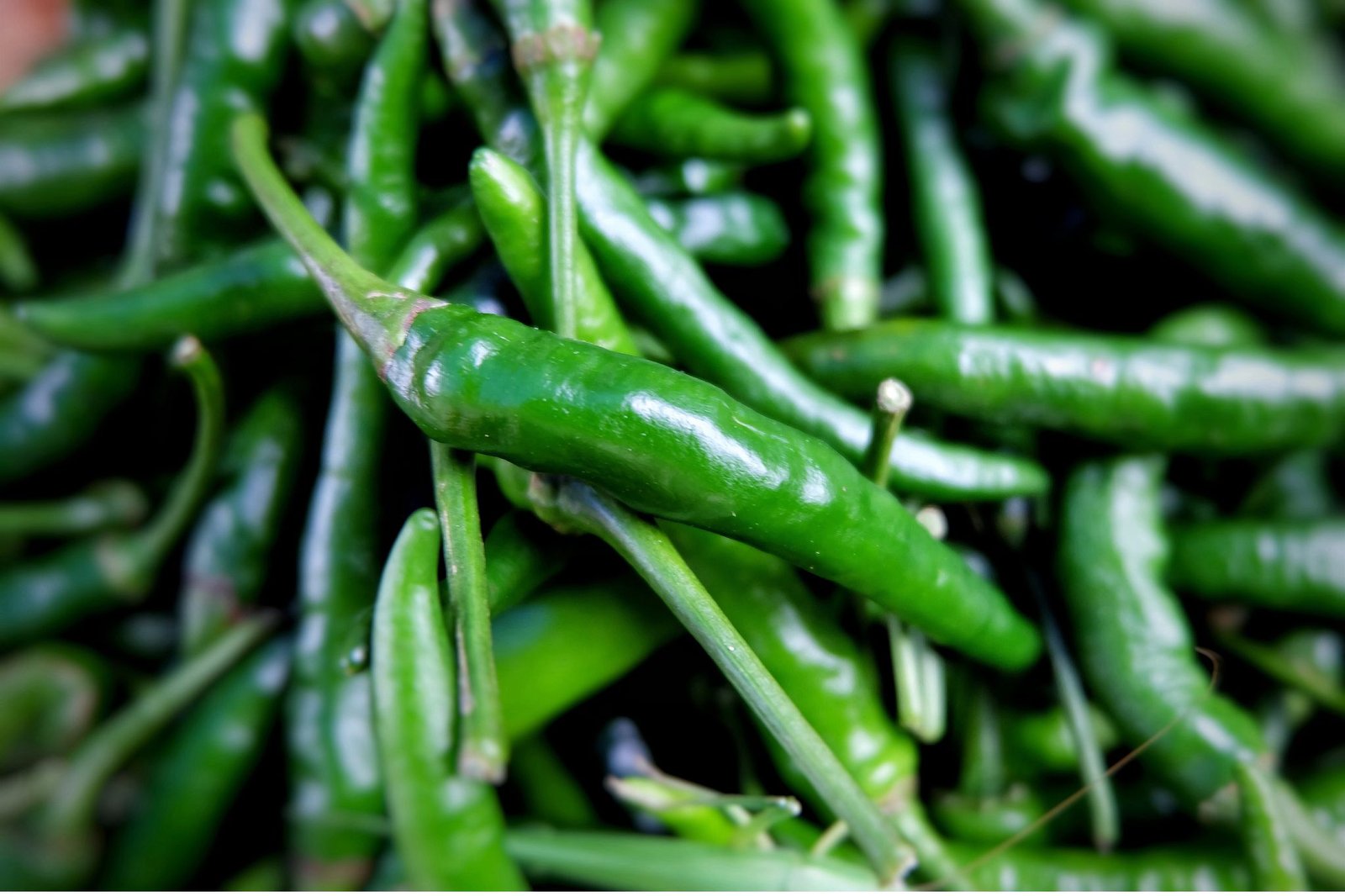 Green Chilli